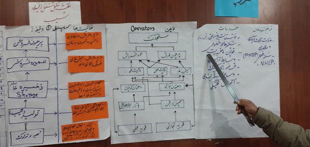 Diagnostic Study
