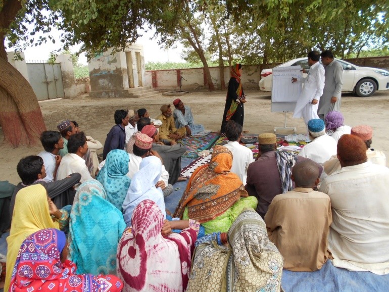 Market Assessment and Value Chain Analysis 