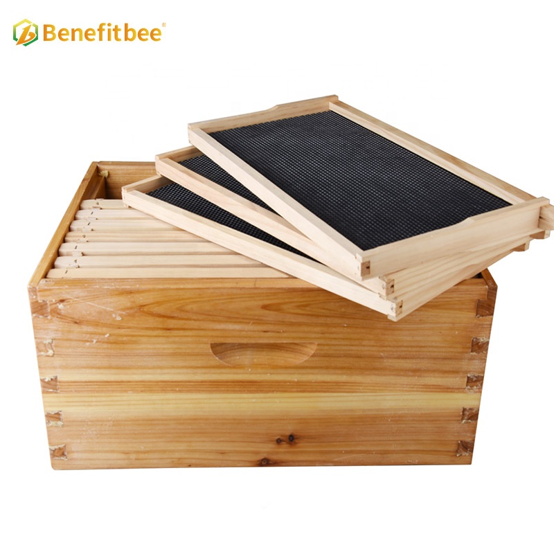 Box  with Frames